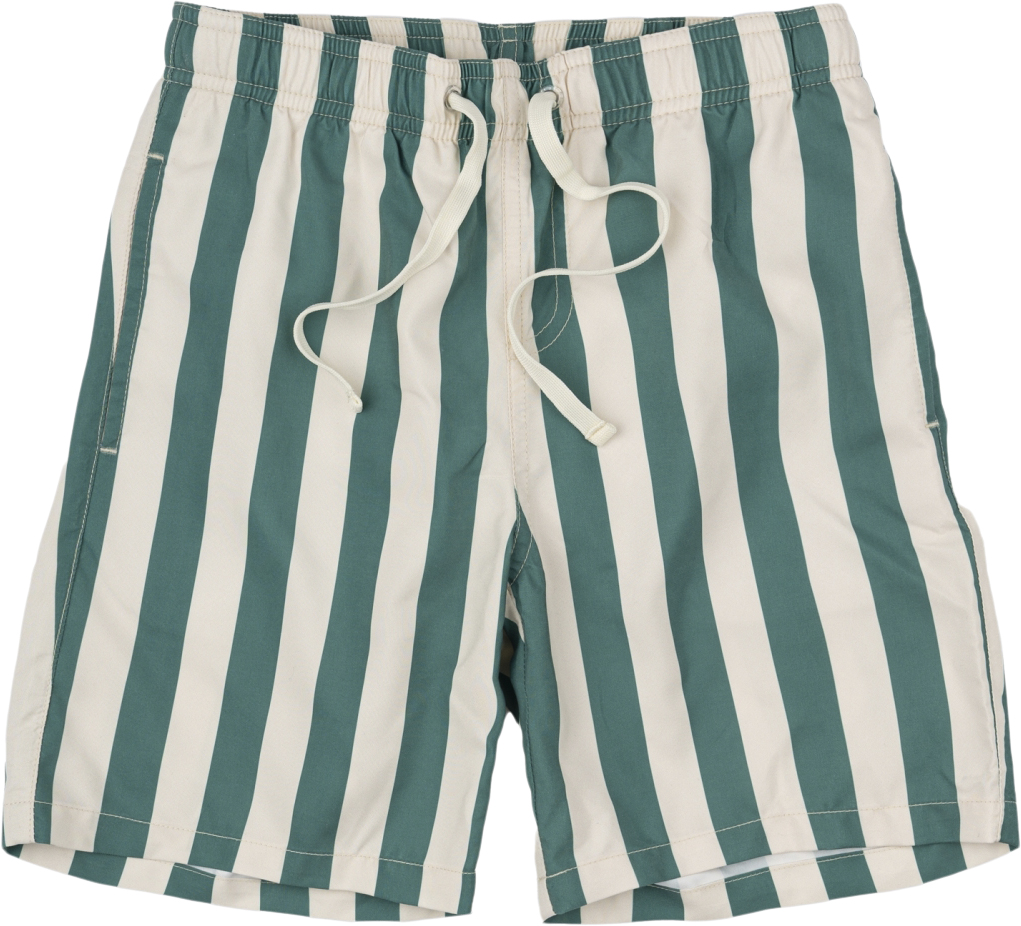 Tnnibes Swim Shorts The New